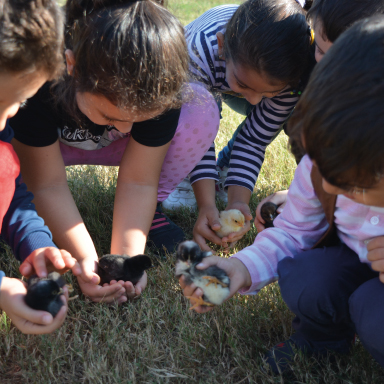 Vivamus in lorem nisl